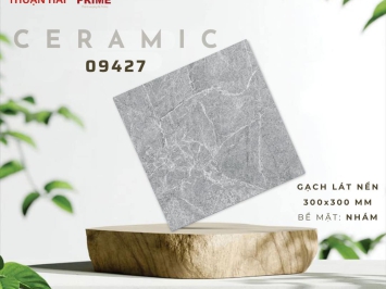 GẠCH MEN TÂY NINH - LỰA CHỌN HOÀN HẢO CHO NGÔI NHÀ LỊCH LÃM!