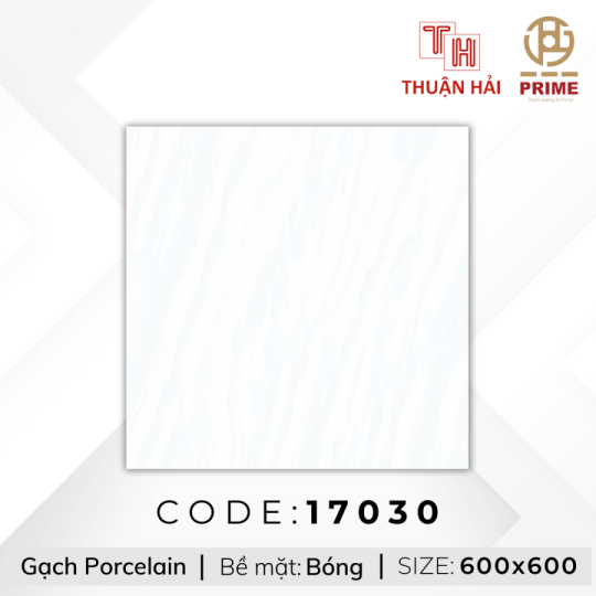 GẠCH LÁT NỀN 60x60 PRIME 17030