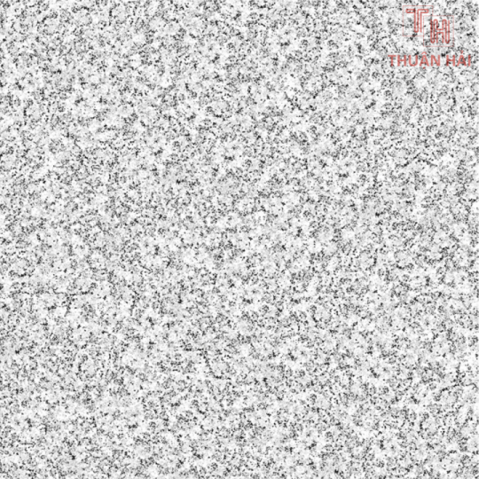 GẠCH LÁT NỀN 40x40 PRIME 2507