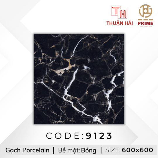 GẠCH LÁT NỀN 60x60 PRIME 9123