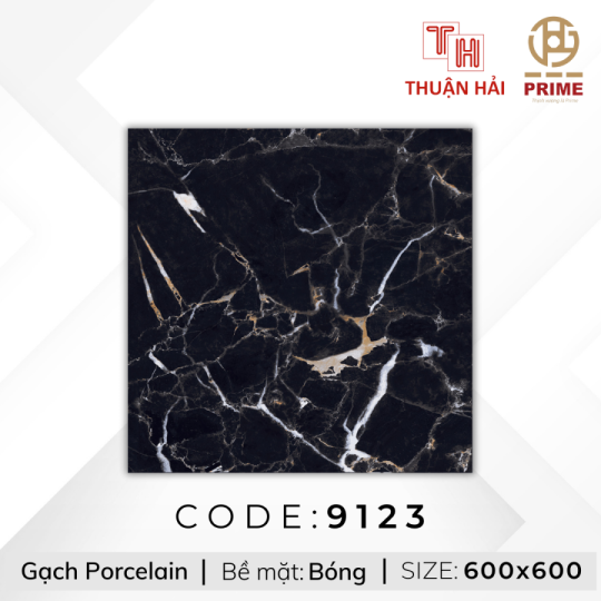 GẠCH LÁT NỀN 60x60 PRIME 9123