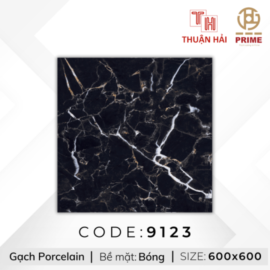 GẠCH LÁT NỀN 60x60 PRIME 9123