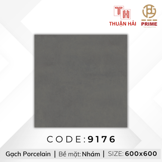 GẠCH LÁT NỀN 60x60 PRIME 9176