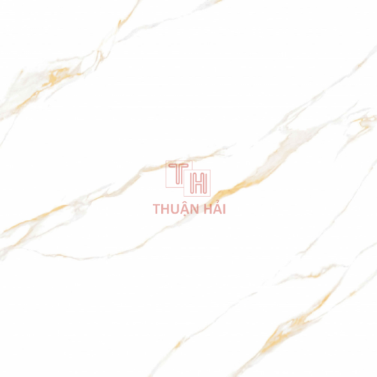 GẠCH LÁT NỀN 60x60 PRIME 9827
