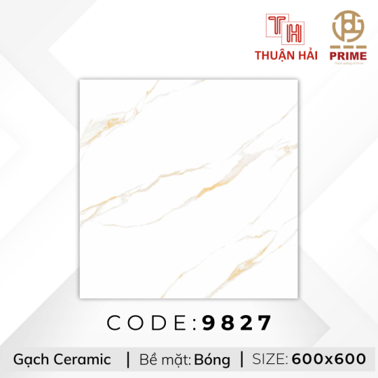 GẠCH LÁT NỀN 60x60 PRIME 9827