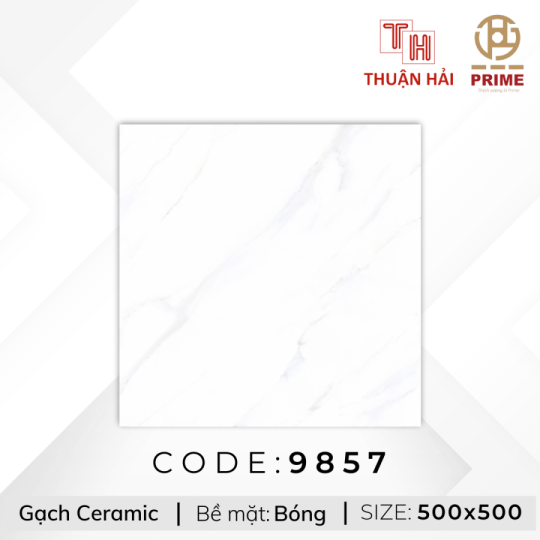 GẠCH LÁT NỀN 50x50 PRIME 9857